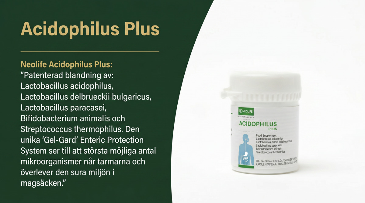 Acidophilus Plus